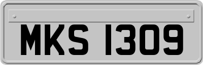 MKS1309