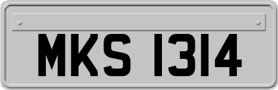 MKS1314