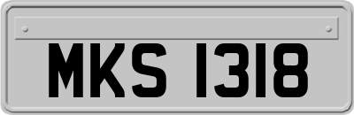 MKS1318