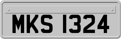MKS1324