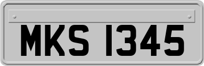 MKS1345