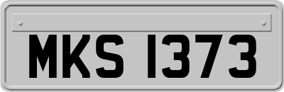 MKS1373