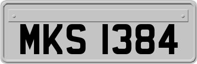 MKS1384