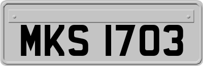 MKS1703