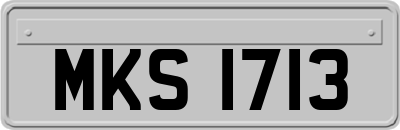 MKS1713