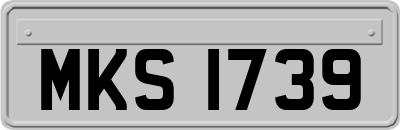 MKS1739