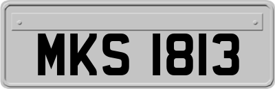 MKS1813
