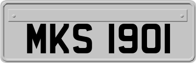 MKS1901