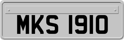 MKS1910