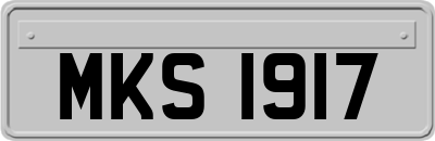 MKS1917