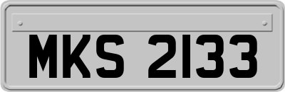 MKS2133