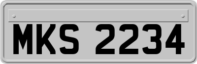 MKS2234