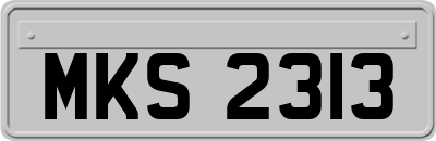 MKS2313