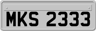 MKS2333