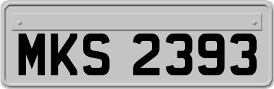 MKS2393