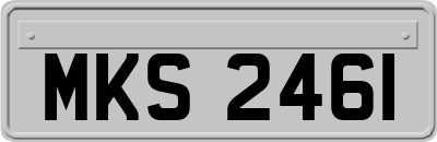 MKS2461