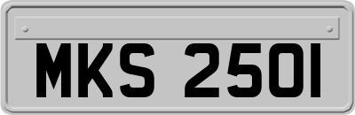 MKS2501