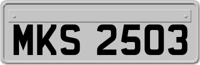 MKS2503