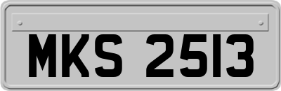 MKS2513