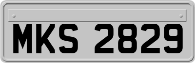 MKS2829