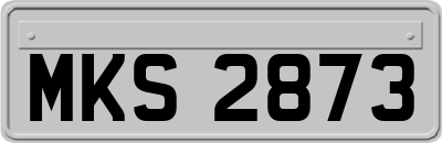 MKS2873