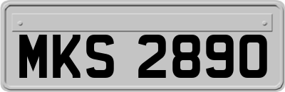 MKS2890