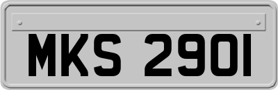 MKS2901