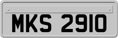 MKS2910