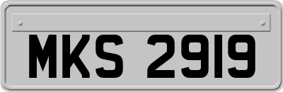 MKS2919