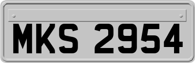 MKS2954