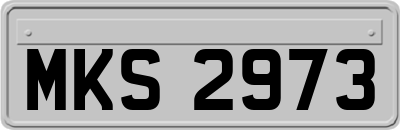 MKS2973