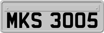 MKS3005