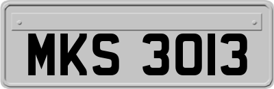 MKS3013