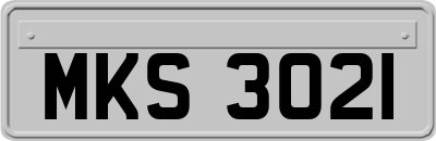 MKS3021