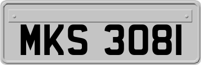 MKS3081
