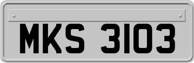MKS3103