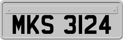 MKS3124