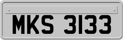 MKS3133