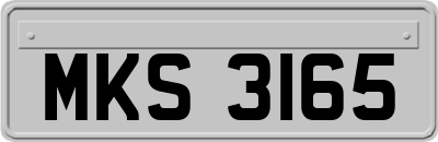 MKS3165