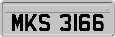 MKS3166
