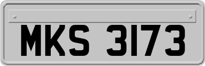 MKS3173