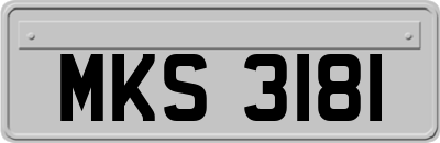 MKS3181