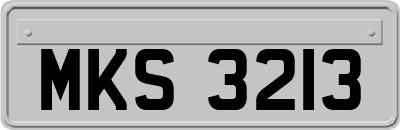 MKS3213