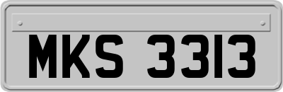MKS3313