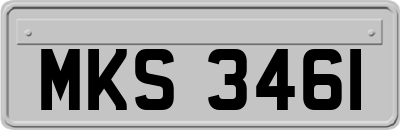 MKS3461