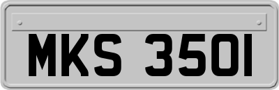 MKS3501