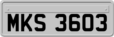 MKS3603