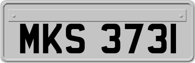 MKS3731