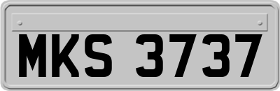 MKS3737