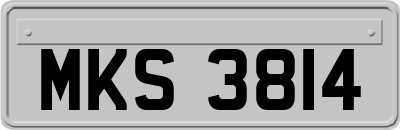 MKS3814